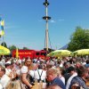 Maibaum 2019